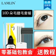 Ghép lông mi giả đặt lông mi giả mô phỏng tự nhiên 10D lông đơn cụm lông mi quyến rũ - Lông mi giả