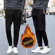 Quần nam phiên bản Hàn Quốc của xu hướng quần harem quần mùa thu cộng với quần bó sát nhung nam 9 điểm chân thường mặc quần mùa đông