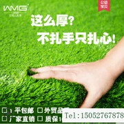 Mô phỏng nhân tạo giả cỏ xanh nhân tạo nhựa sân cỏ trường mẫu giáo ban công trang trí thảm ngoài trời