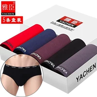 Quần lót cotton nam 100% cotton thoáng khí eo thoải mái kháng khuẩn quần short tam giác đầu 5 hộp quần sịp con voi