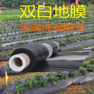 农用银黑地膜蔬菜种植双色反光除草防虫防晒保温保湿育苗银色薄膜
