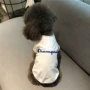 Phong cách đa chú chó cưng Pet mèo ngộ nghĩnh đẹp trai trang phục mùa hè mỏng phần trung bình áo vest chó dễ thương - Quần áo & phụ kiện thú cưng áo cho chó con