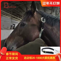 Лошадь ласточки Qi сдержанности, лошади, лошади, лошади оснащены восьми -футовыми лошадьми Dragon Bcl449303