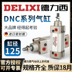 Цилиндр 德力西气动小型标准气缸dnc125-25-50-75-100-150-200-300-ppv-a Delixi