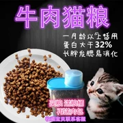 Thức ăn cho mèo hạt tự nhiên hương vị thịt bò tự làm thức ăn dễ thương mèo nhỏ thức ăn mèo trẻ 2 kg thức ăn mèo trẻ chính - Cat Staples