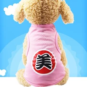 Teddy dog ​​quần áo mùa hè phần mỏng Tide thương hiệu công chúa nhỏ váy mùa xuân dễ thương váy con chó con lưới màu đỏ thú cưng quần áo - Quần áo & phụ kiện thú cưng