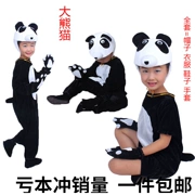 Gấu trúc khổng lồ Trẻ em Trang phục biểu diễn động vật Ngày trẻ em mẫu giáo Phim hoạt hình khiêu vũ Trang phục dành cho người lớn Panda