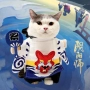 Lắc cùng một bộ quần áo mèo Yin Yang Shi ngộ nghĩnh biến thành tiếng Anh ngắn màu xanh mèo Garfield mèo mùa thu và mùa đông quần áo thú cưng - Quần áo & phụ kiện thú cưng quần áo cho chó phốc hươu