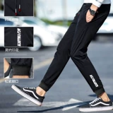 Мужские осенние спортивные трендовые брендовые штаны для отдыха, 2023, в корейском стиле, свободный прямой крой