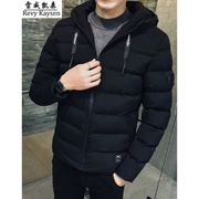 Lei Wei Kaisen cotton nam 2018 mùa đông mới mỏng cotton trùm đầu phù hợp với giới trẻ thời trang Hàn Quốc - Quần áo độn bông thể thao