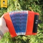 Đồ chơi trẻ em accordion cho trẻ sơ sinh 3-8 tuổi Cậu bé giáo dục sớm nhạc cụ 4 - 6 món quà cho bé gái accordion đồ chơi violin cho trẻ em