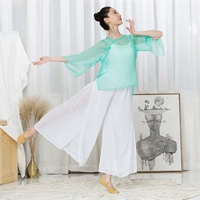 Классическая танцевальная одежда, рифмовая марля, взрослая китайская танцевальная одежда Элегантная сетевая марля танцевальная одежда