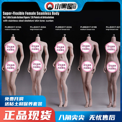 taobao agent Spot Phicen TBLEAGUE steel bone bag gum female body S18A 19B 21B 22A S32A