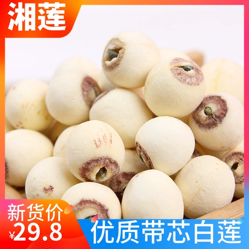 В этом году новые фермерские фермеры Самоапрестанные семена лотоса лотоса