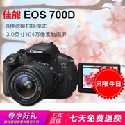 Máy ảnh kỹ thuật số mới của Canon Canon EOS 700D, máy ảnh DSLR siêu 650D 600D 550D - SLR kỹ thuật số chuyên nghiệp