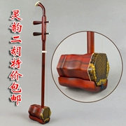 Lingyun kiểm tra nhạc cụ nâng cao gỗ hồng mộc tinh chế gỗ hồng mộc đàn gỗ đàn hương dây đàn Đôn Hoàng chất lượng ưu đãi đặc biệt - Nhạc cụ dân tộc