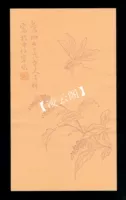 Duoyunxuan деревянная версия водяных знаков Notes Zhang Zixiang Grassworm Scattered Page 26 Yuan/Small Set/4 канцелярские товары Watermark