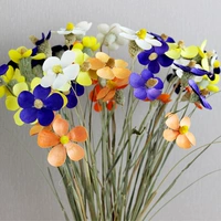Phalaenopsis высушенные цветы настоящие цветы фиолетовая локальная мебель для дома