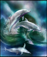 Tô Châu thêu DIY kit cá heo mới bắt đầu đẹp tâm hồn sơn dầu biển đầy sơn trang trí lớn thêu thêu 45 * 55 - Bộ dụng cụ thêu tranh thêu phong thủy