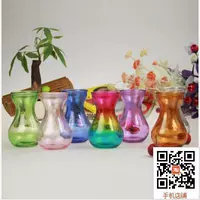 Hyacinth cụ thể thủy canh chai nhựa thủy canh nhỏ chai lục bình mới bình thủy tinh - Vase / Bồn hoa & Kệ bình hoa tay phật