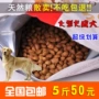 Chó vừa và lớn chó trưởng thành thức ăn tinh khiết chó tự nhiên thực phẩm Jinmaosamo Husky con chó trưởng thành thực phẩm 5 kg với số lượng lớn đồ ăn cho chó con