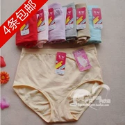 Bộ đồ lót Caiti đích thực 216 túi thoải mái hip cotton boxer eo cao hip line đồ lót nữ