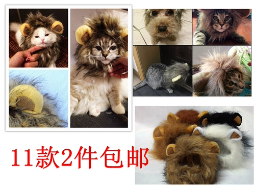 Король джунглей король молоко молоко собака маленькая собака и кошачья парик шляпа шляпа домашний парик парик