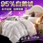 Nhung 95 trắng ngỗng xuống chính hãng dày mùa đông quilt mùa xuân và mùa thu là mùa hè mát mẻ lõi mỏng mùa hè lõi duy nhất quilt đơn 	may chăn chần bông	