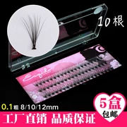 Huimei tự ghép lông mi giả chuyên nghiệp tự nhiên dày đơn lông chéo 10 gốc trồng nhung ghép lông mi