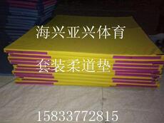 Коврик для дзюдо 套装柔道垫2米*1米*5厘米180密度压缩海绵垫芯柔道革面席纹革面