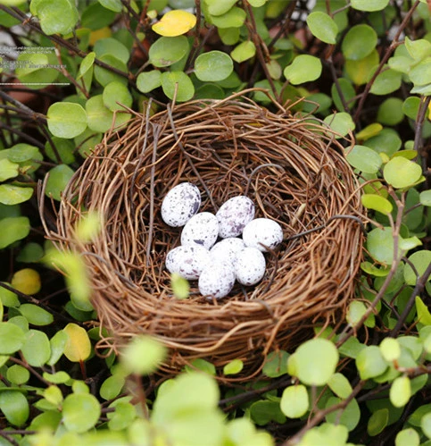 Mô phỏng mô phỏng Tổ chim Yến sào Mô phỏng nhỏ Trứng chim cút Trứng chim bồ câu Trứng trang trí cảnh Trang trí Đạo cụ chụp ảnh - Đồ chơi gia đình