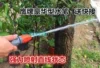 Товары от 植物加油站