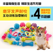 Oy 拉 狗狗 玩具 声声 耐 身 Samoyed VIP Teddy puppies răng hàm pet nguồn cung cấp đào tạo mèo đồ chơi