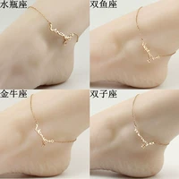 Phiên bản Hàn Quốc của Hàn Quốc 12 chòm sao 14K vàng hồng màu vàng vòng chân nữ thời trang nữ bằng thép titan không gây dị ứng không phai vòng đeo chân nữ