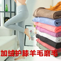 Cotton mùa thu quần eo cao cộng với nhung miếng đệm đầu gối phần mỏng quần ấm quần Mỏng quần cotton kích thước lớn dày xà cạp phụ nữ quần tất lót lông