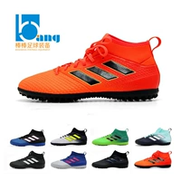 Lolly đích thực: Adidas ACE 17,3 TF trung cấp bị hỏng móng tay giày bóng đá nam BY2203 giày thể thao cao cổ