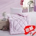 Beauty salon quilt vẻ đẹp giường bìa lõi chăn là trái tim-vẻ đẹp đặc biệt lõi cotton massage lót Quilts