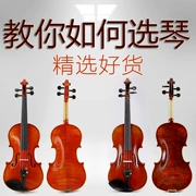 Hao Chengquan thủ công violon hổ mẫu gỗ kiểm tra chơi solo trẻ em guitar người lớn nhạc cụ phương Tây