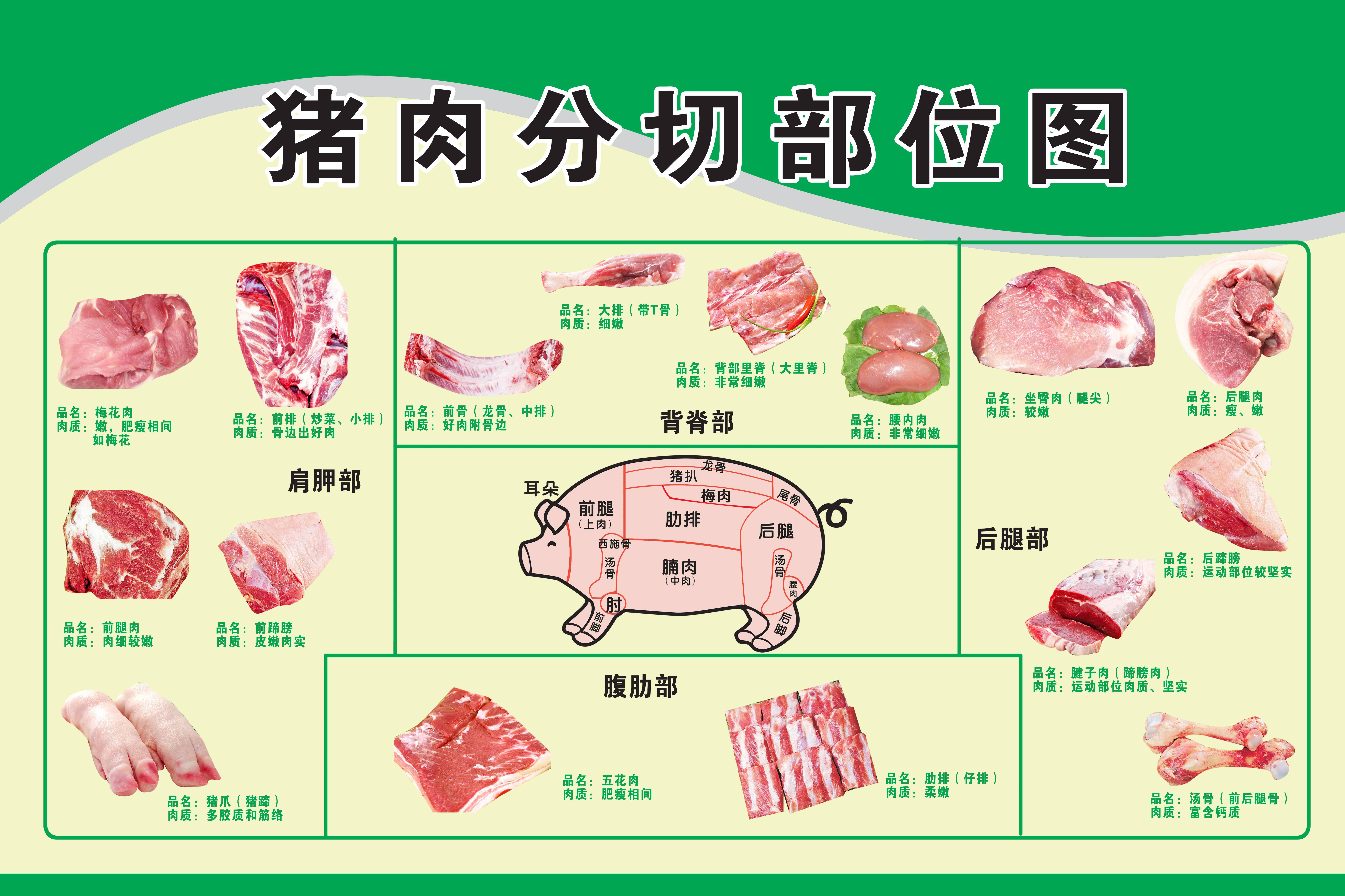 77岁何庆魁抱歉一不小心就说秃噜嘴了他还得挣钱给小妻儿女呢