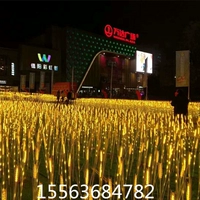 Светодиодные уши пшеницы светильники пшеница ячменная газонная плавка световой световой красавица Chen Lianghua Landscape Decorative Lighters