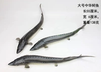 Моделирование рыбы модель морской рыбы модели модели Pu Fis Fish Patskin Koi Fish Parch китайский сомы