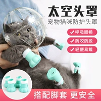 Кошачья головка против противоречивого анти -бодрящего сферического покрова кошки