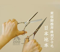Зоопарк │ Японский домашний животный профессионал красоты сдвиг модель волос прямой стрижка кошачьих собак.