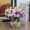 Hoa nhân tạo đặt hoa giả trang trí hoa phòng khách trưng bày hoa cắm hoa lụa hoa vườn hoa nhựa hoa nhân tạo - Hoa nhân tạo / Cây / Trái cây