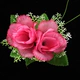Розовые двойные цветы (10) в этой жизни (10)