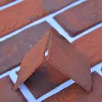 Мягкий фарфоровый кирпичный красный запуск промежутка 1 см после 0,9 квадратных метров