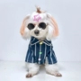 Đại học gió mèo quần áo mùa xuân và mùa hè mỏng Teddy Bomei chó nhỏ chống lông quần áo thú cưng thủy triều - Quần áo & phụ kiện thú cưng phụ kiện cho chó poodle
