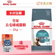 Lotte Pet Royal Đi bóng tóc vào thức ăn cho mèo IH34 nhổ lông bóng 2kg mèo thức ăn chính nhiều tỉnh