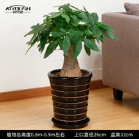 80-90 см одиночный выстрел [Black Thread Basin]