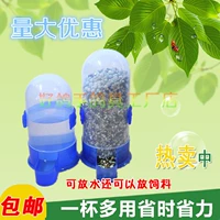 Starling Parrot Pigeon Uống nước Chai tự động Rò rỉ nước Ăn Sử dụng kép Bird Groove Letter Dove Nguồn cung cấp - Chim & Chăm sóc chim Supplies lồng tắm cho chim